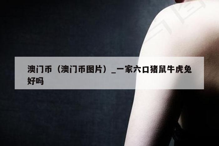 澳门币(澳门币图片)_一家六口猪鼠牛虎兔好吗